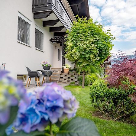 Appartement Burgblick 하인펠스 외부 사진